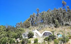 Glamping Nido Verde